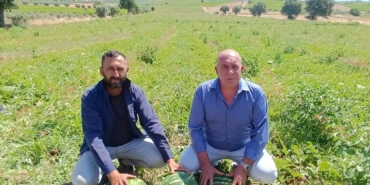 Salihli Poyrazdamları Karpuzu Hasadında Üreticiler Tepkili