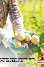 WhatsApp Image 2025-09-02 at 12.15.14