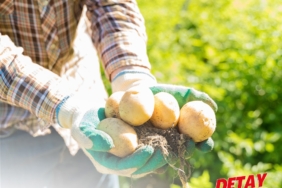 WhatsApp Image 2025-09-02 at 12.15.14