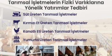 TKDK Dokuzuncu Başvuru Çağrısını Yayınladı