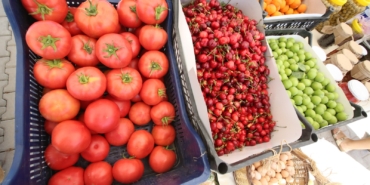 Efes Tarlası Yaşam Köyü’nde Üretici Pazarı 19 Ekim’de Açılıyor