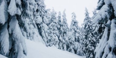 Batı Karadeniz ve Marmara: Yoğun Kar Alarmı