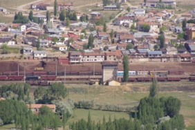 696dfcd3d0c81_kangal