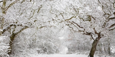 Meteoroloji’den 5 İl İçin “Sarı” Kodlu Uyarı: Kar ve Fırtına Kapıda