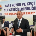52-2.jpg