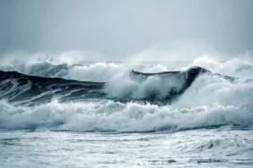 DENIZ.webp.webp